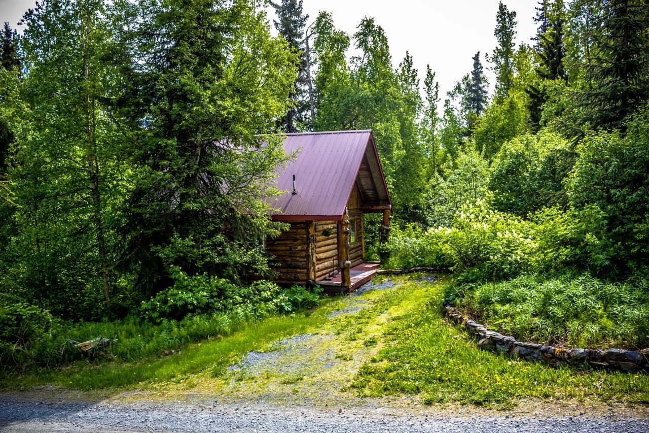Midnight Sun Log Cabins Moose Pass Екстер'єр фото