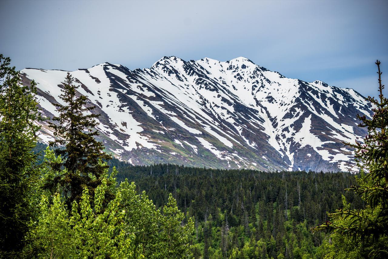 Midnight Sun Log Cabins Moose Pass Екстер'єр фото