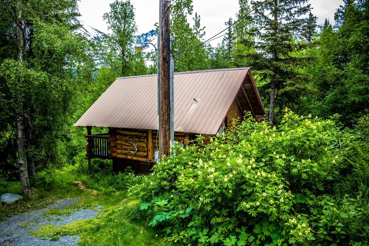Midnight Sun Log Cabins Moose Pass Екстер'єр фото
