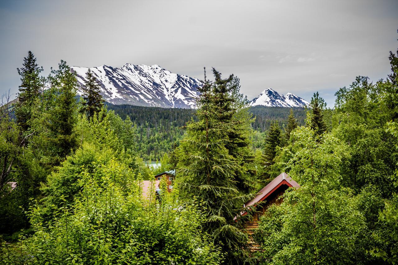 Midnight Sun Log Cabins Moose Pass Екстер'єр фото